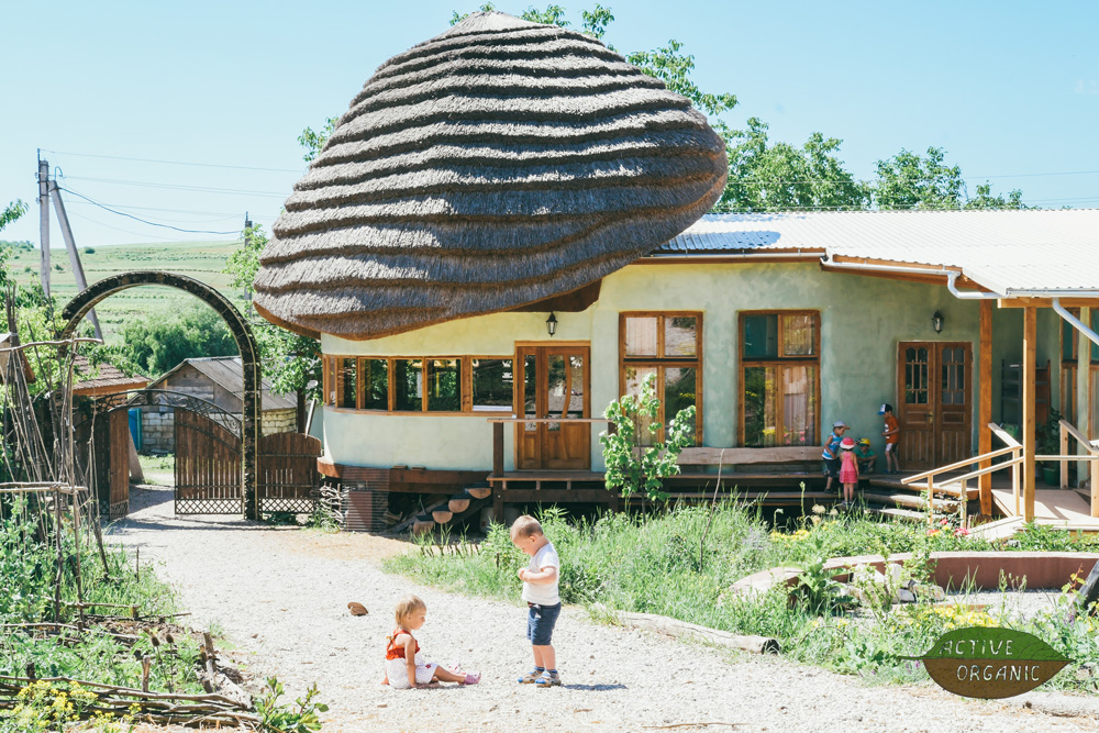 EcoVillage Moldova ciuperca