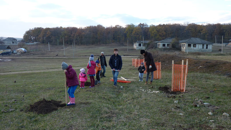 Eco Training Center Planting poplars November 2016 2