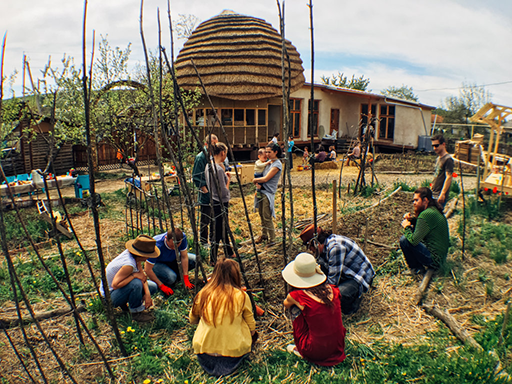 Eco Training Center organic gardening workshop