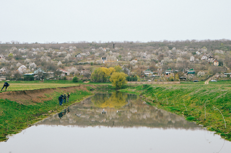 Seed It Forward Willows along river